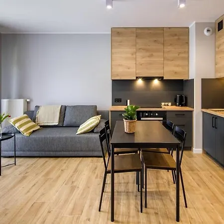 Comfortable And Spacious Oasis Cracovia