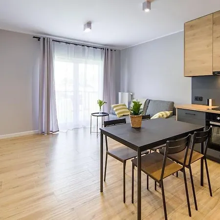 Comfortable And Spacious Oasis 公寓 *